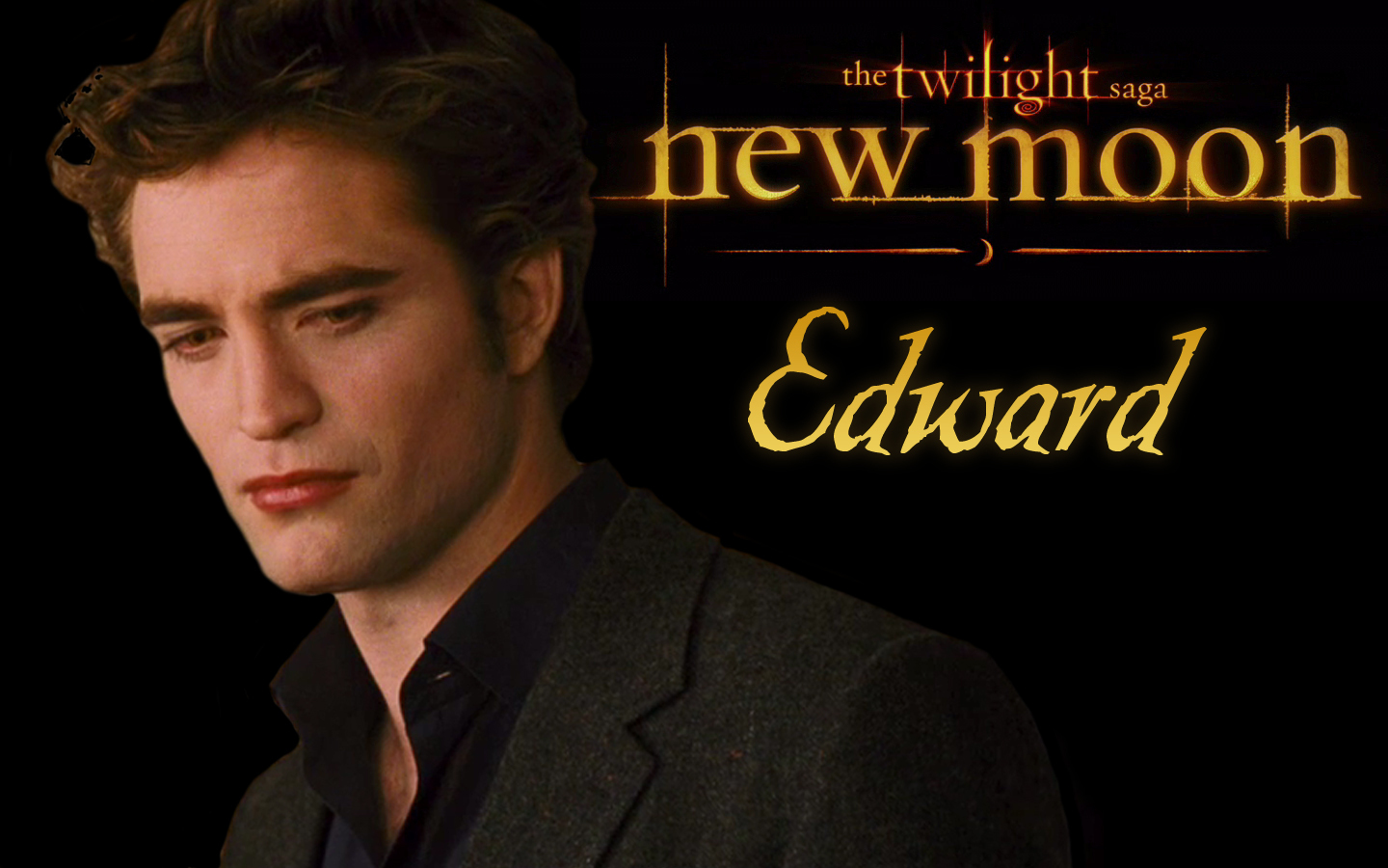 Edward New Moon Cullen Vs Jacob Black Wallpaper