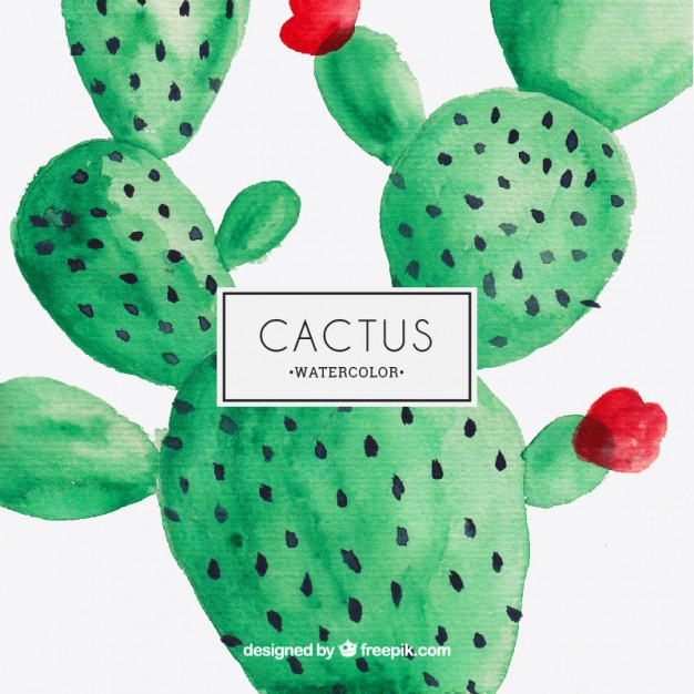 Watercolor Cactus Vector