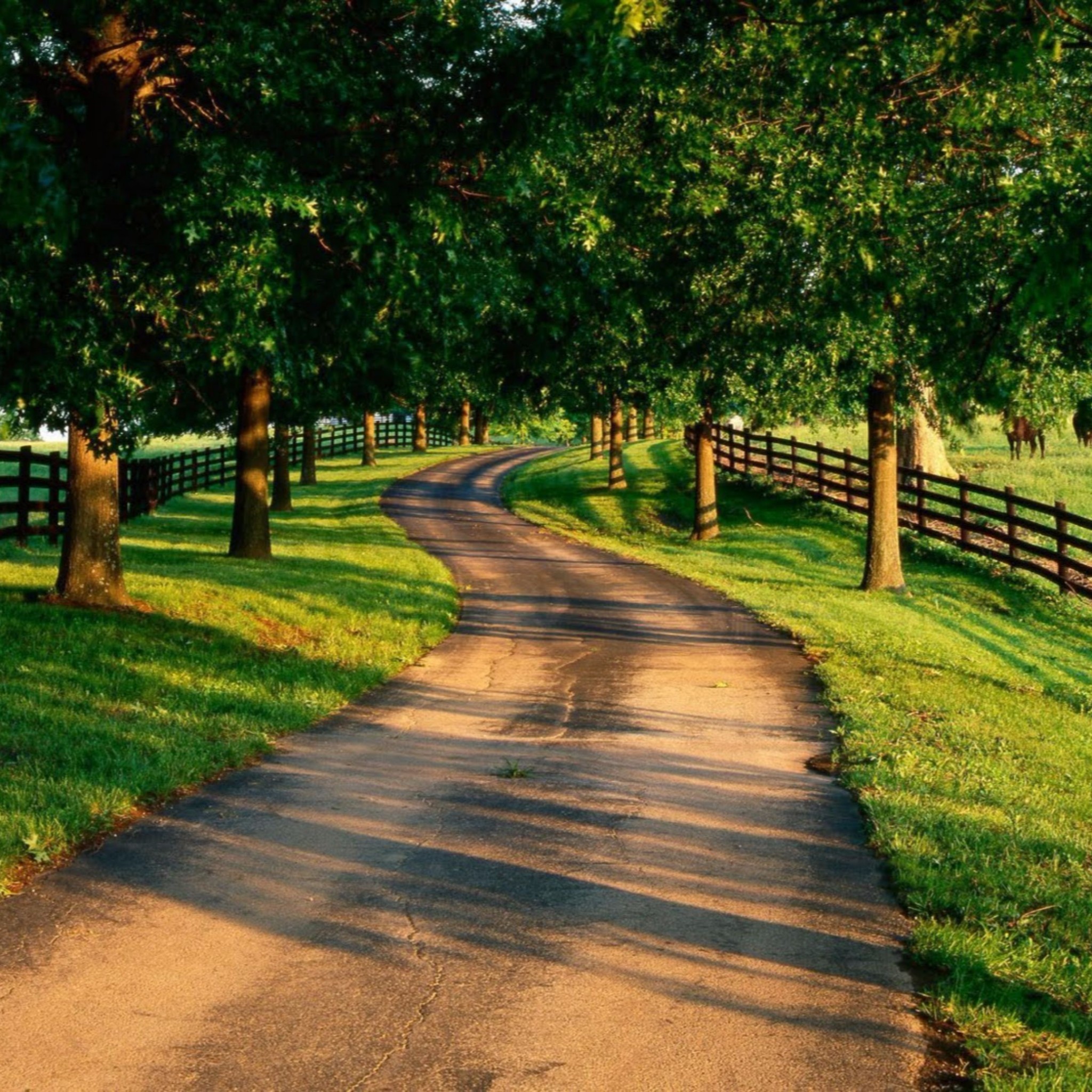 Country Road Wallpaper Desktop