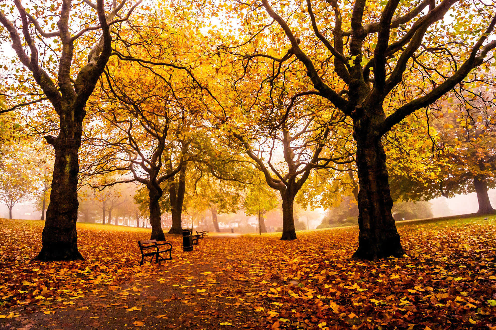 New England Autumn Wallpaper