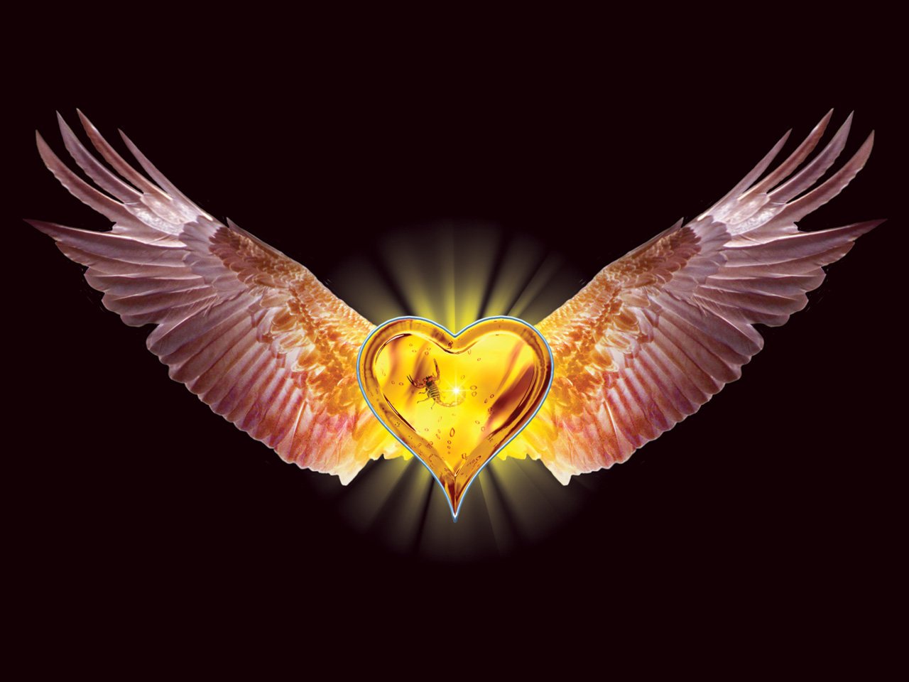 wallpaper Stratovarius Eagle heart Wings valentine wallpaper 1280x960