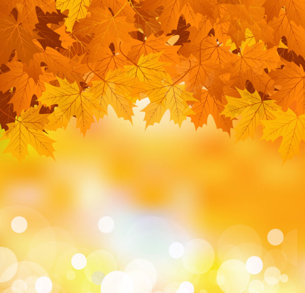 Fall Of Maple Leaf Elements Background Vector Name
