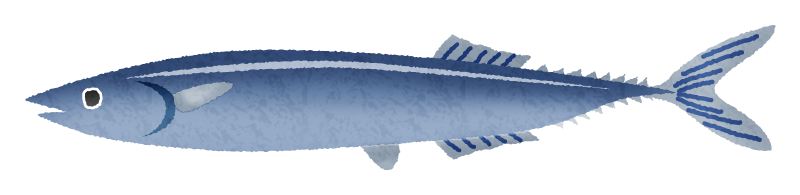 Pacific Saury Wallpaper