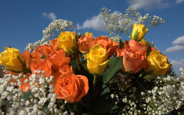 Yellow And Orange Roses Given Together Symbolize Passionate Ideas