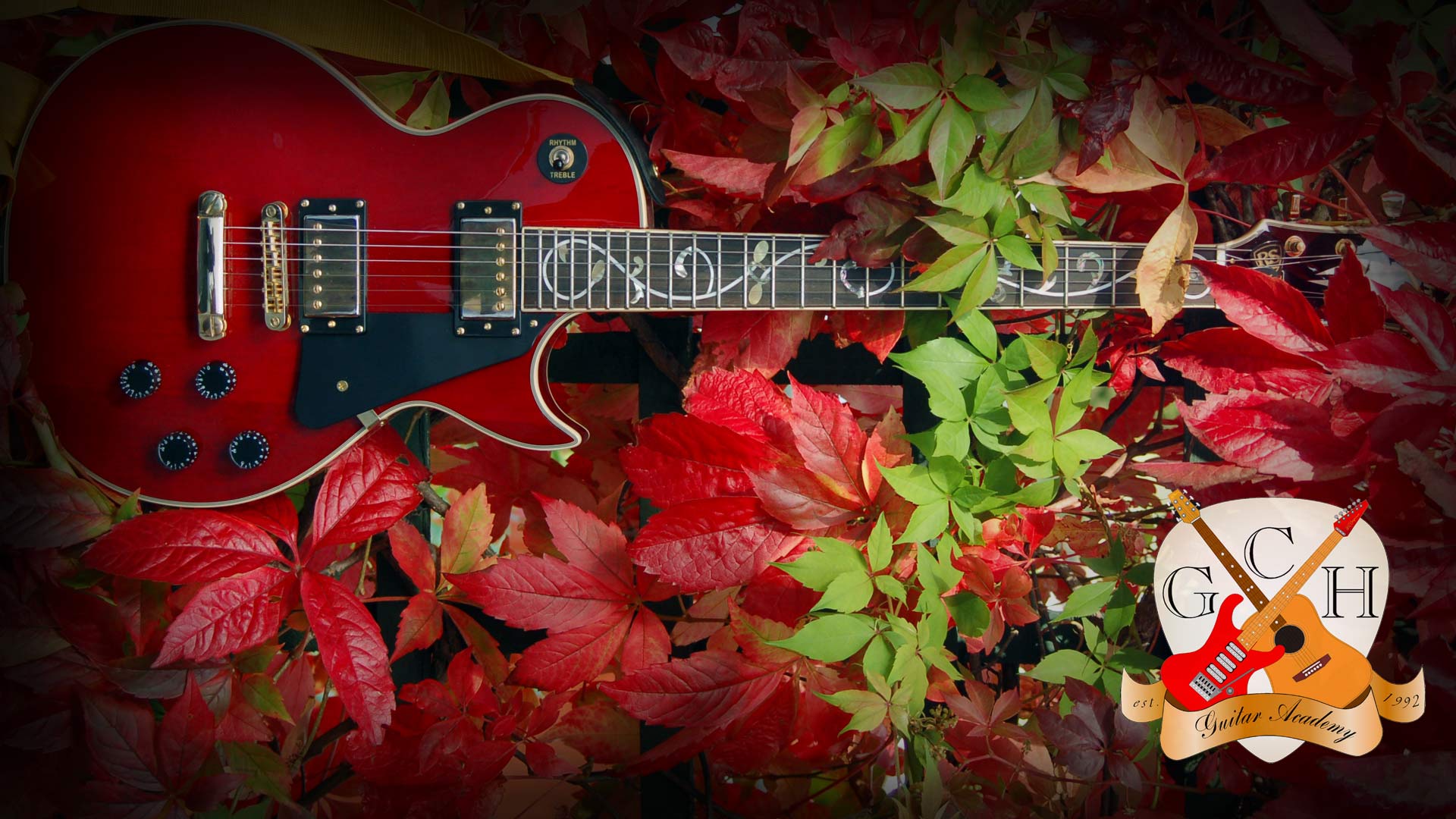 Guitar Wallpaper Gibson Les Paul Style