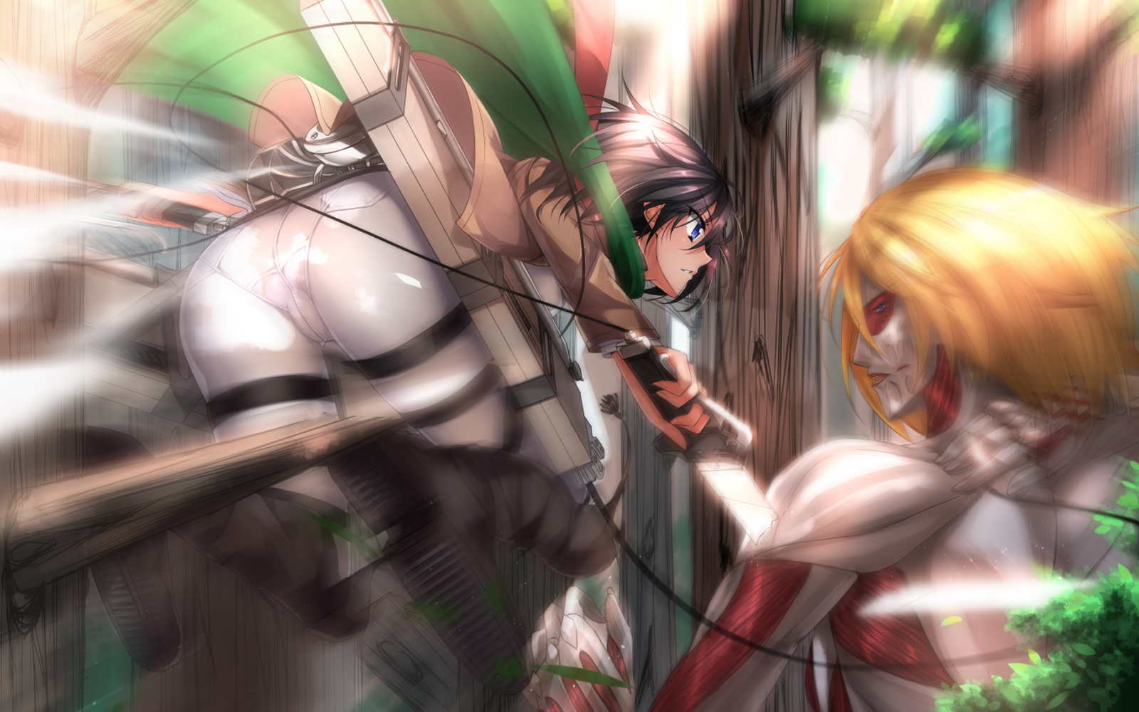 Female Titan Annie Leonhardt Mikasa Ackerman Attack On Shingeki