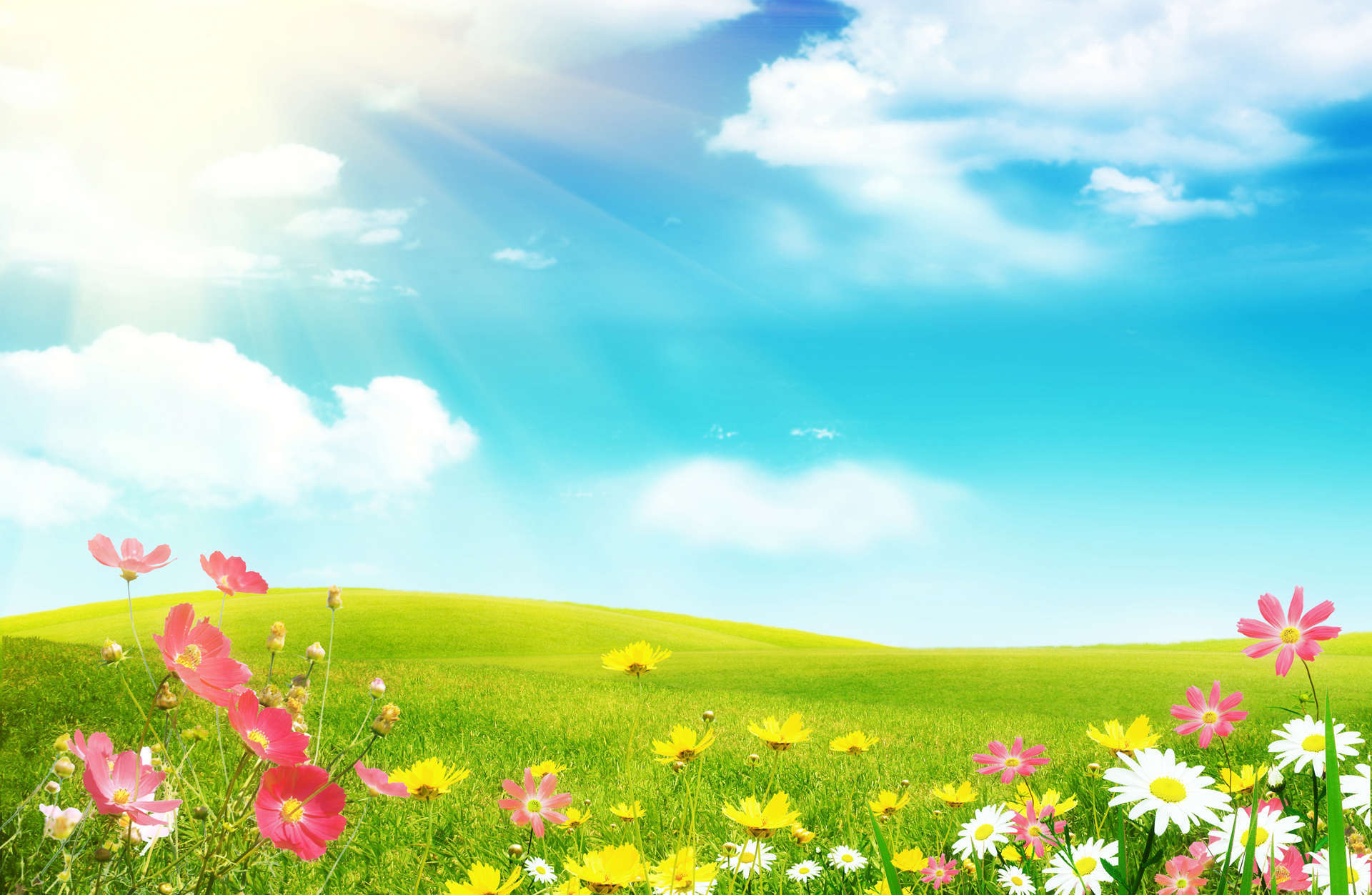  free spring desktop wallpaper download for android phone iphone
