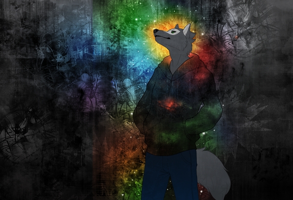 Wolf Furry Animals Wallpaper Anime Hot Desktop