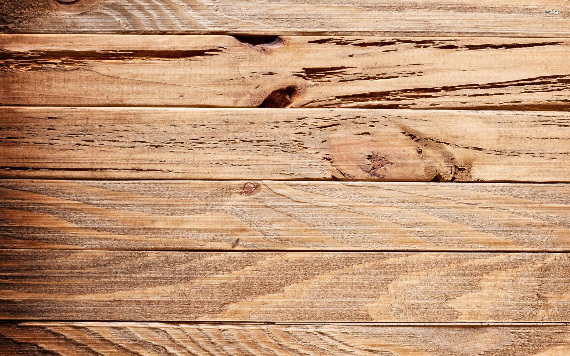 Top Wood Wallpaper Full HD 4k To Use
