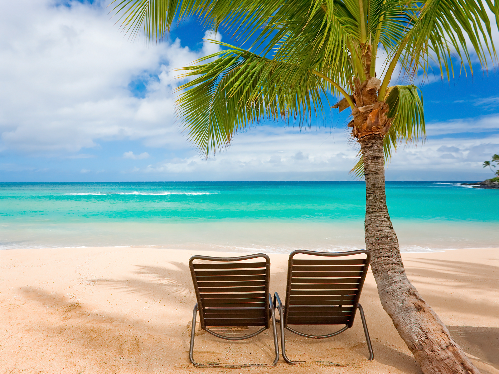 Wallpaper Summer Beach