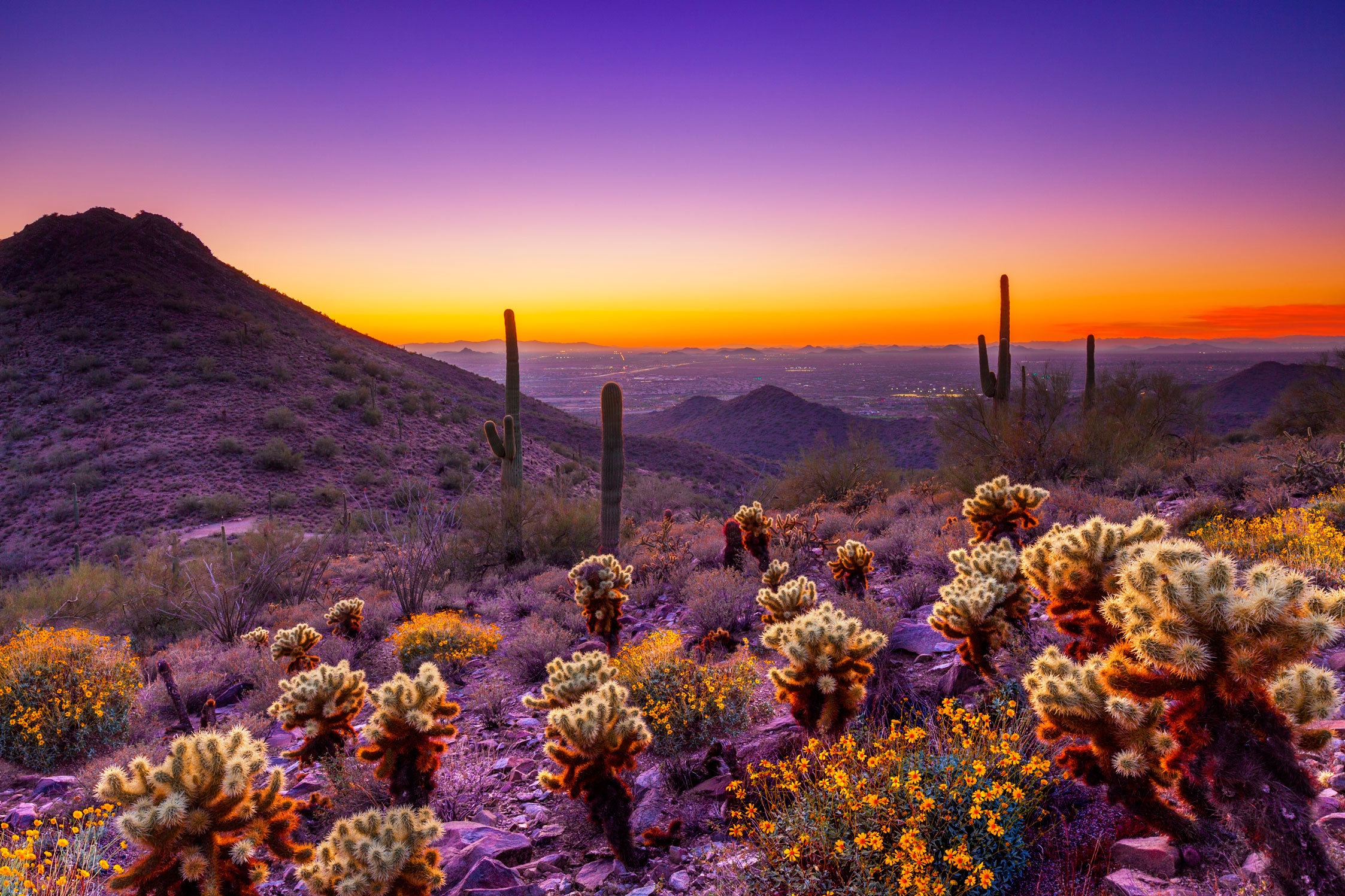 Sunset Photo Courtesy Of Scottsdale Convention Visitors Bureau