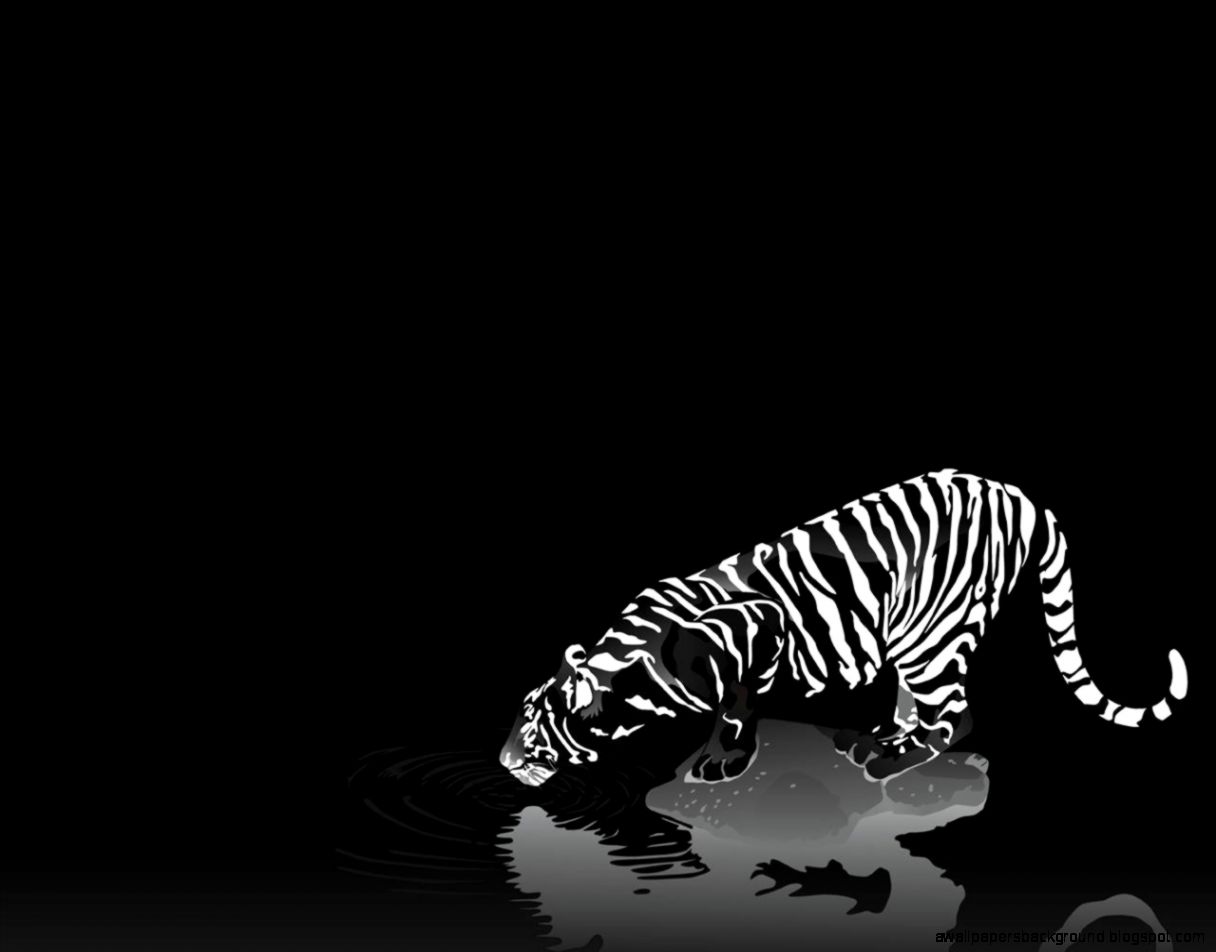 [76+] Cool Black And White Wallpapers on WallpaperSafari