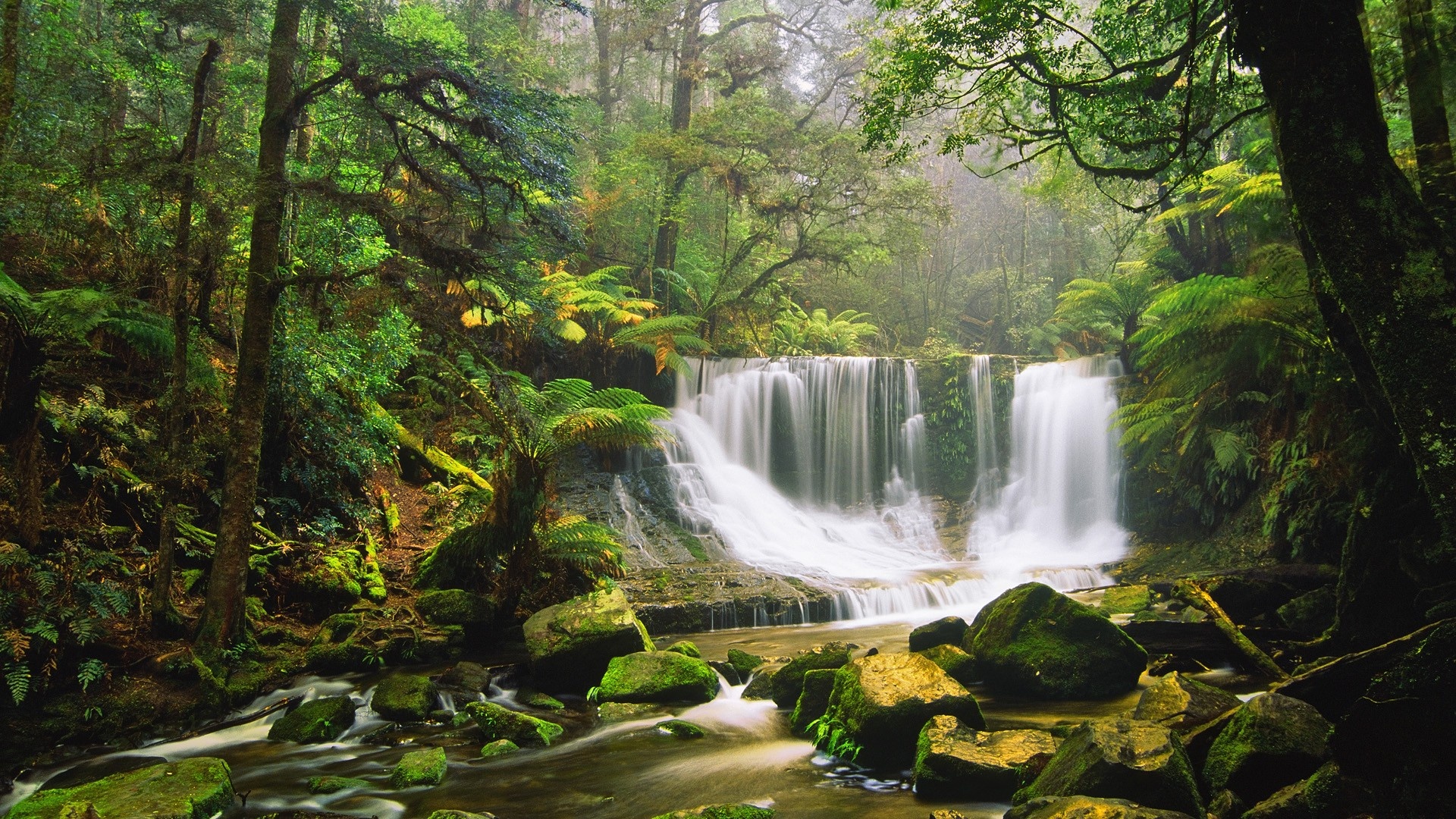 Waterfall Rocks Moss Green Forest Tree Fern Australian