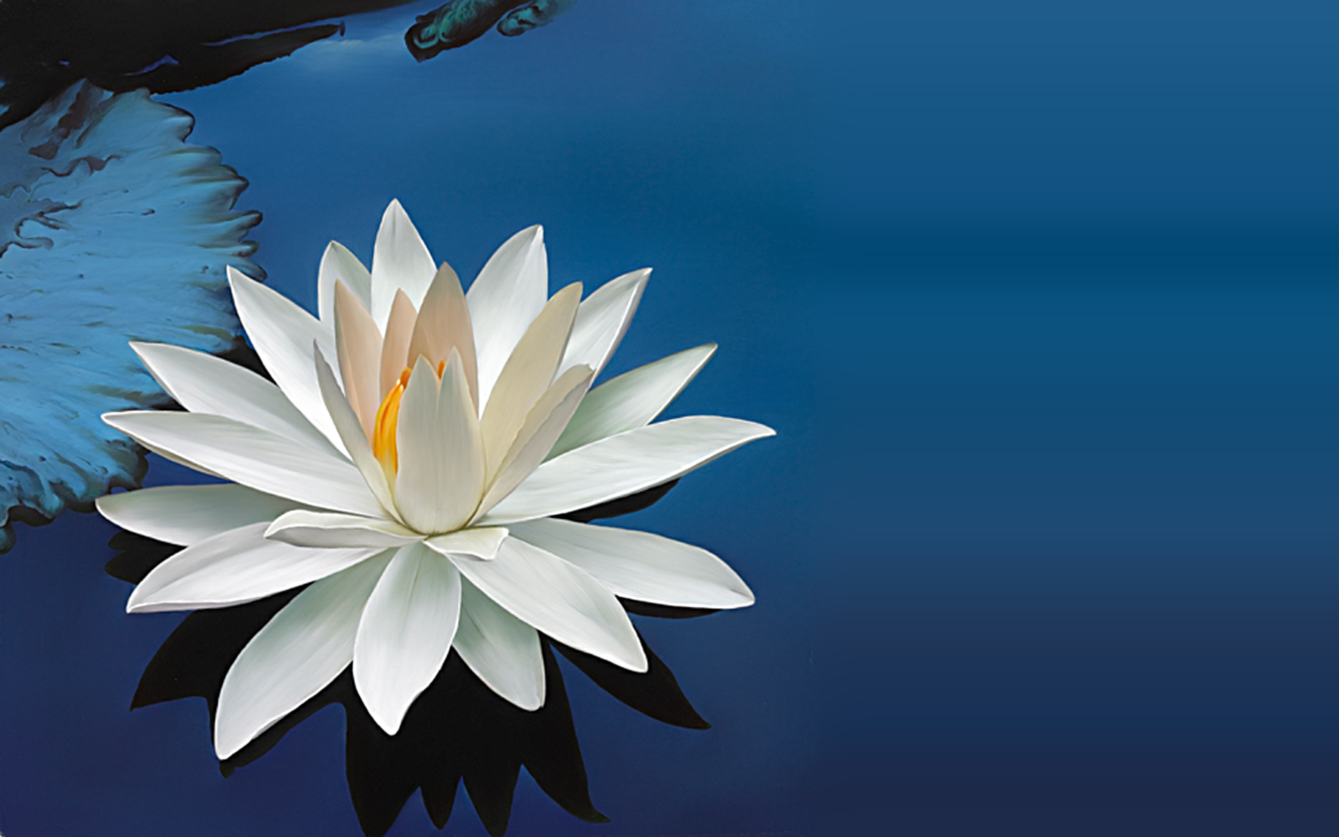 Lotus Desktop Wallpaper