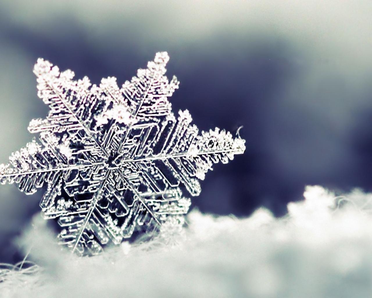 Snowflake Desktop Wallpaper