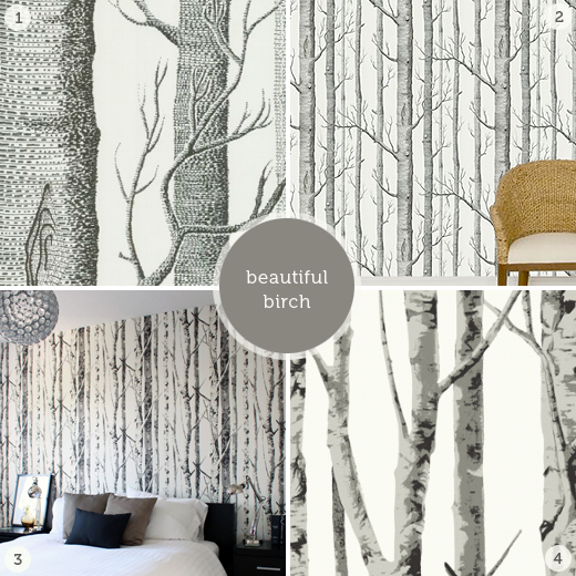 Birch Tree Paper Wallpaper Picswallpaper