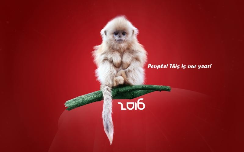 Name New Year Of The Monkey Wallpaper