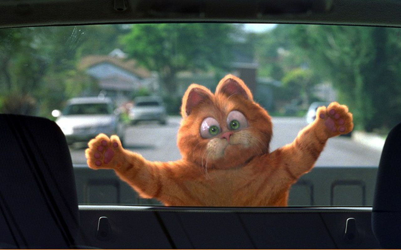 Garfield Flat Against Car Window Wallpaper
