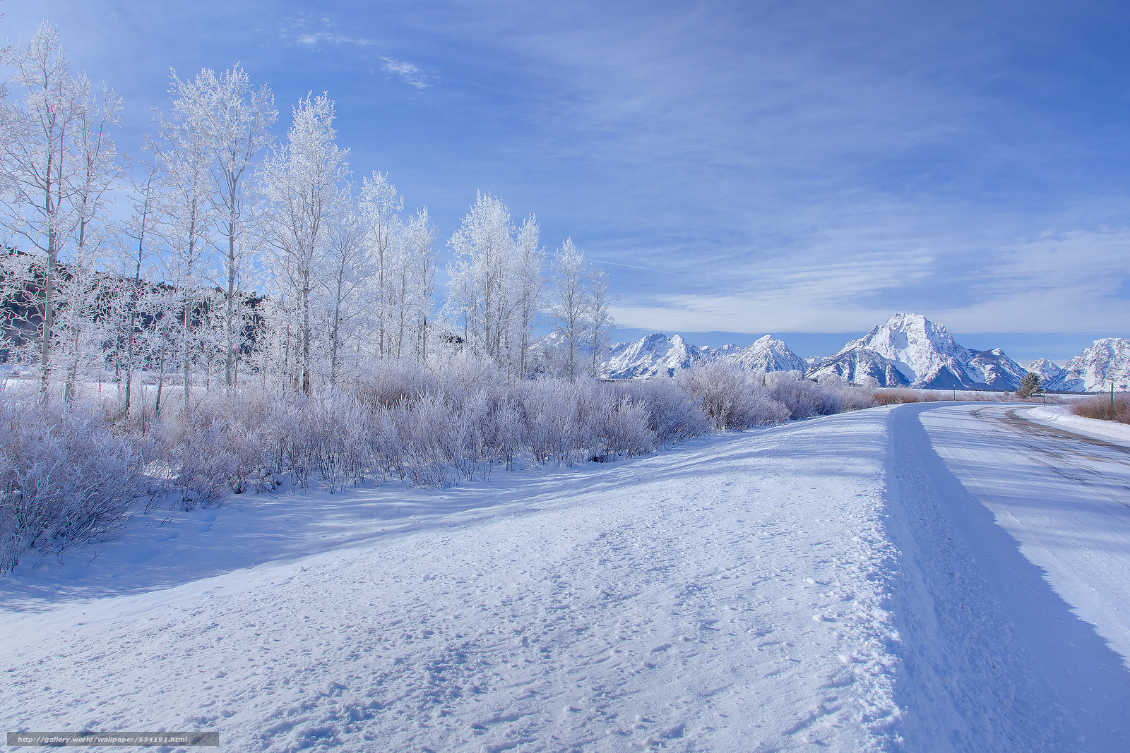 Download wallpaper pathway of light and snow grand teton national