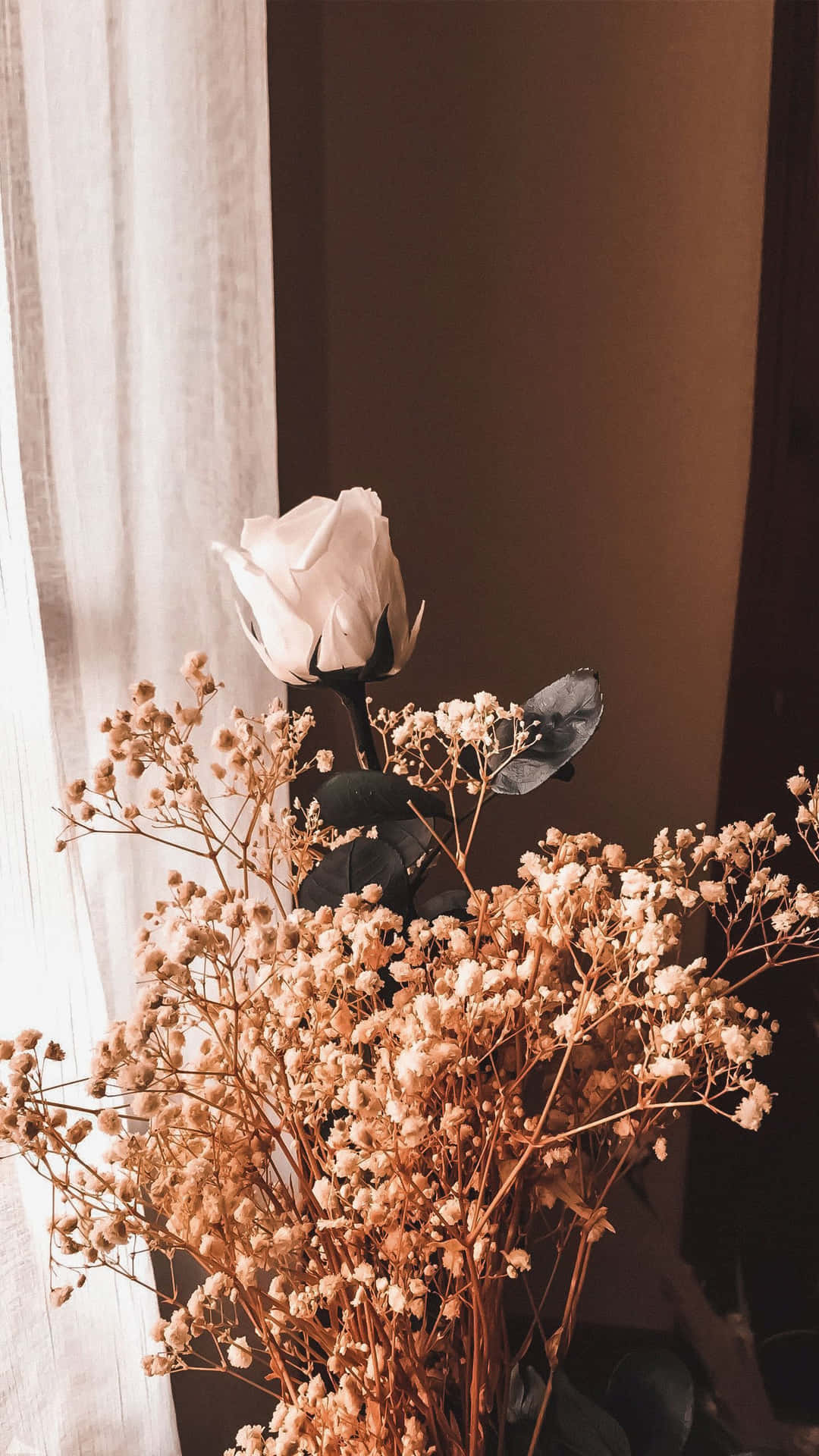 A single white rose surrounded by dried baby's breath flowers against a brown background
