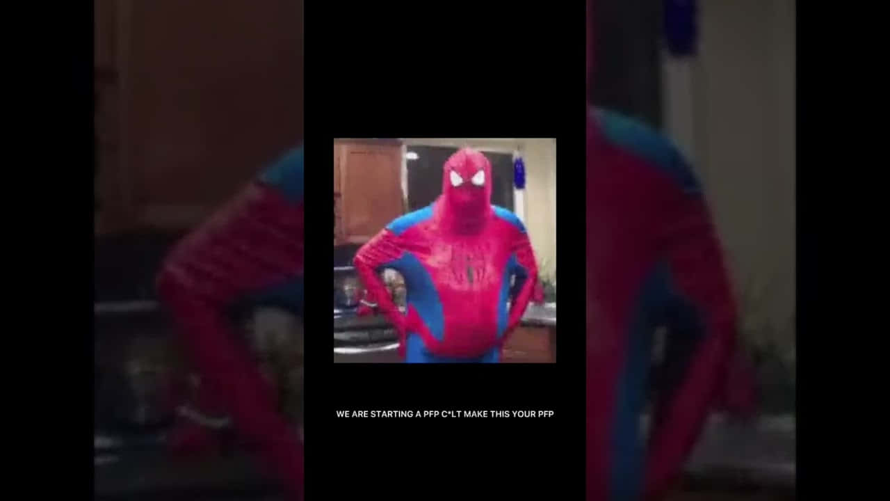 Spiderman Pfp Wallpaper