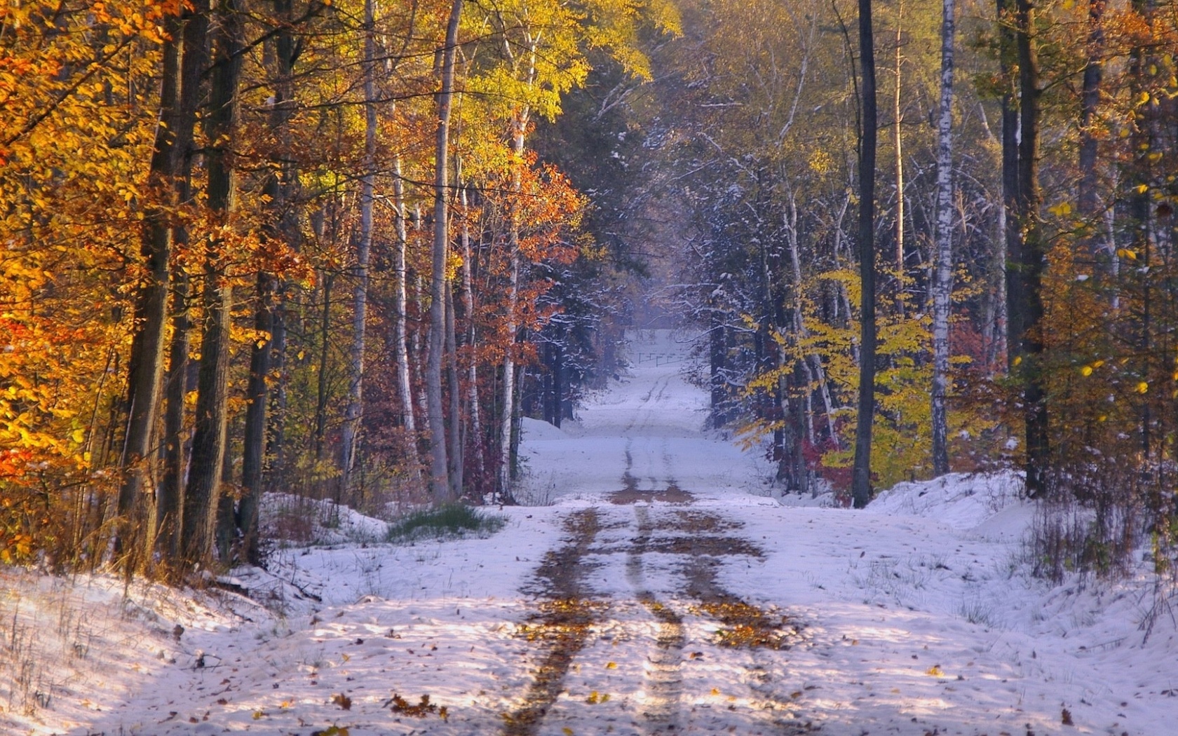 Snowy Path Forest Late Autumn Desktop Pc And Mac Wallpaper