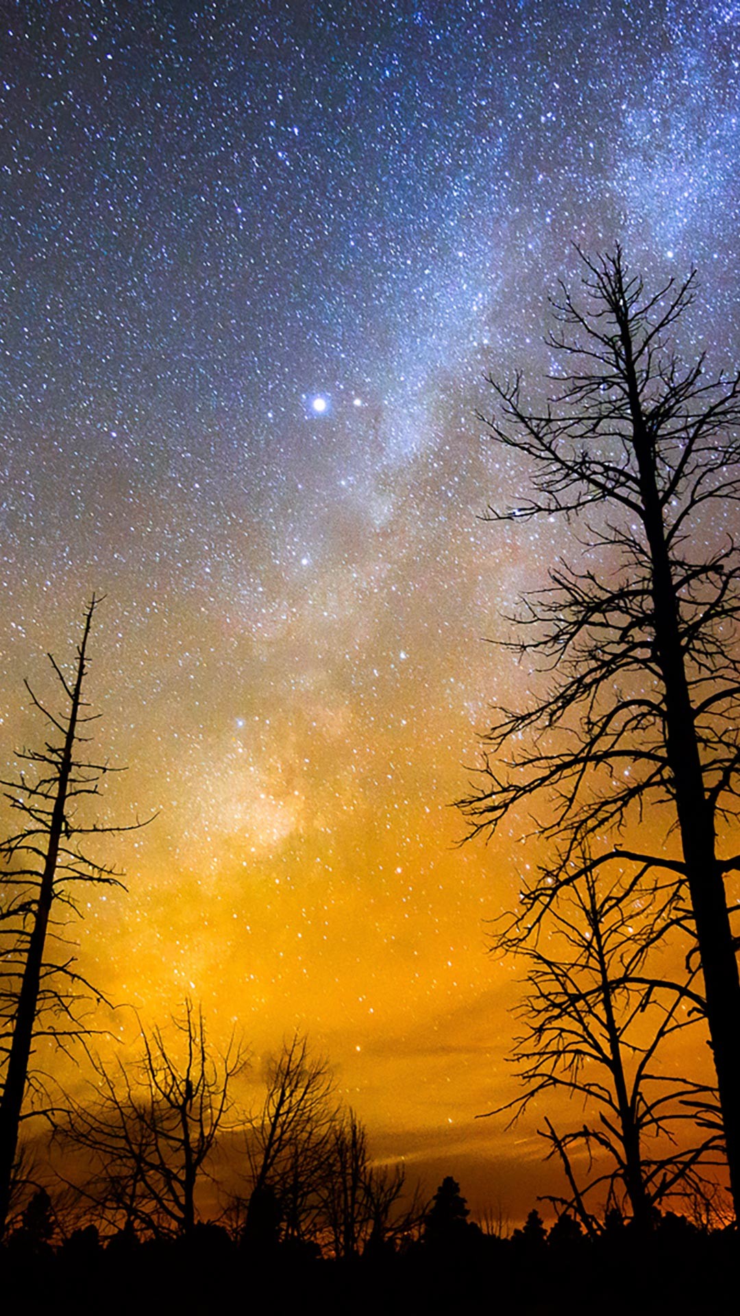 Silhouetted trees against a vibrant sunset sky with the Milky Way galaxy prominently displayed. Perfect for a phone wallpaper