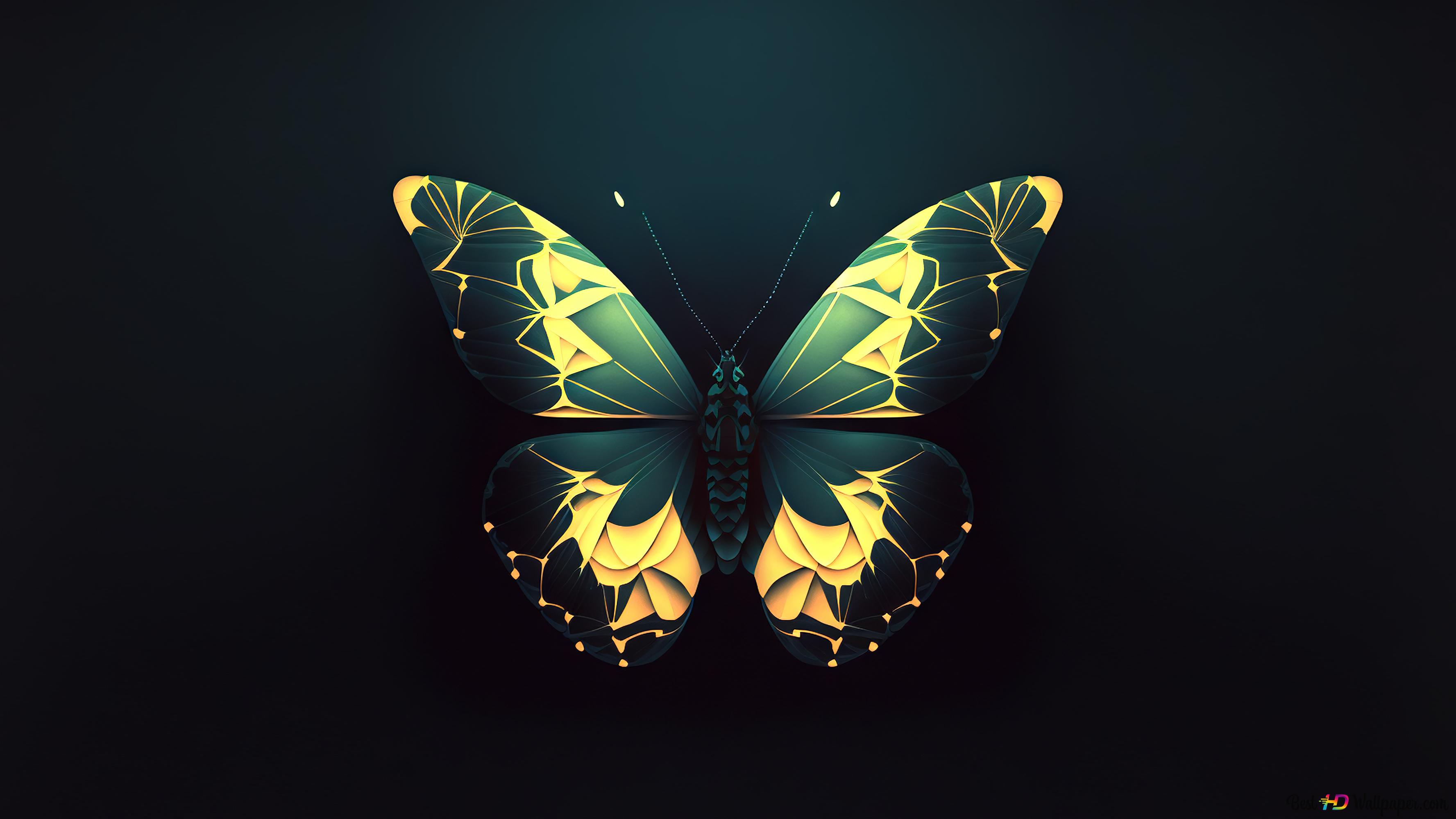 Butterfly Insect Wallpaper