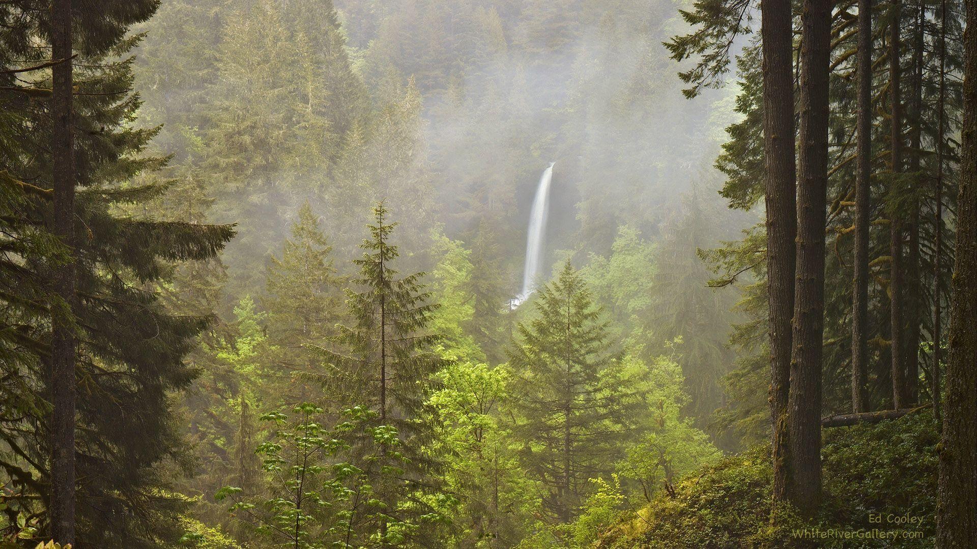 Pacific Northwest Desktop Wallpaper Top