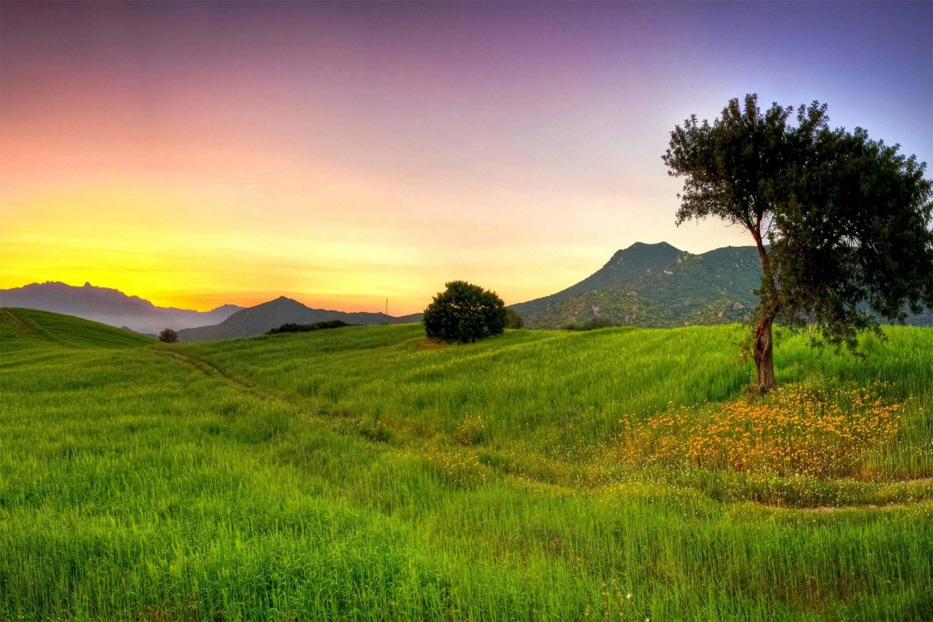 A breathtaking sunset over a vibrant green field with wildflowers, rolling hills, and distant mountains, creating a serene natural landscape