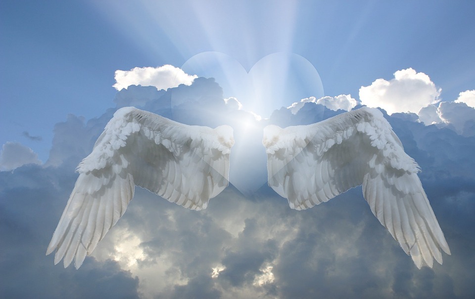 Heart Angel Wing Image On