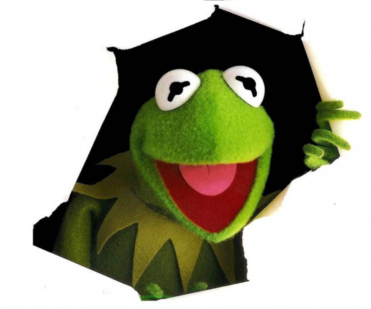 Kermit The Frog Wallpaper