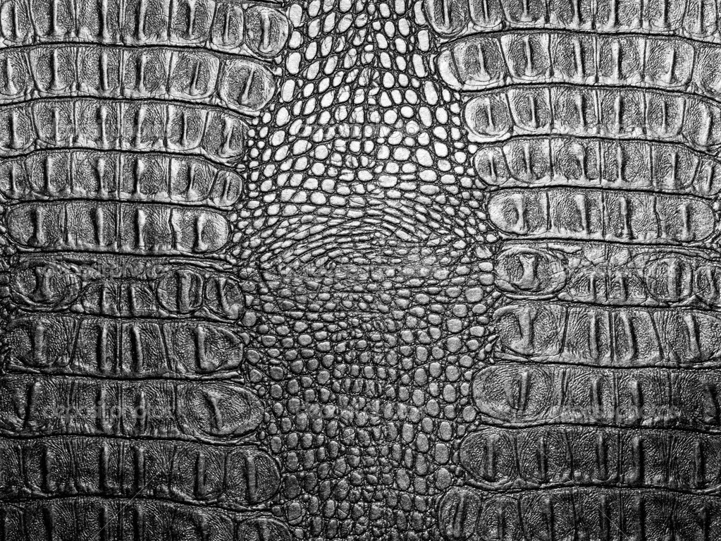 Black Alligator Skin Wallpaper Crocodile Leather