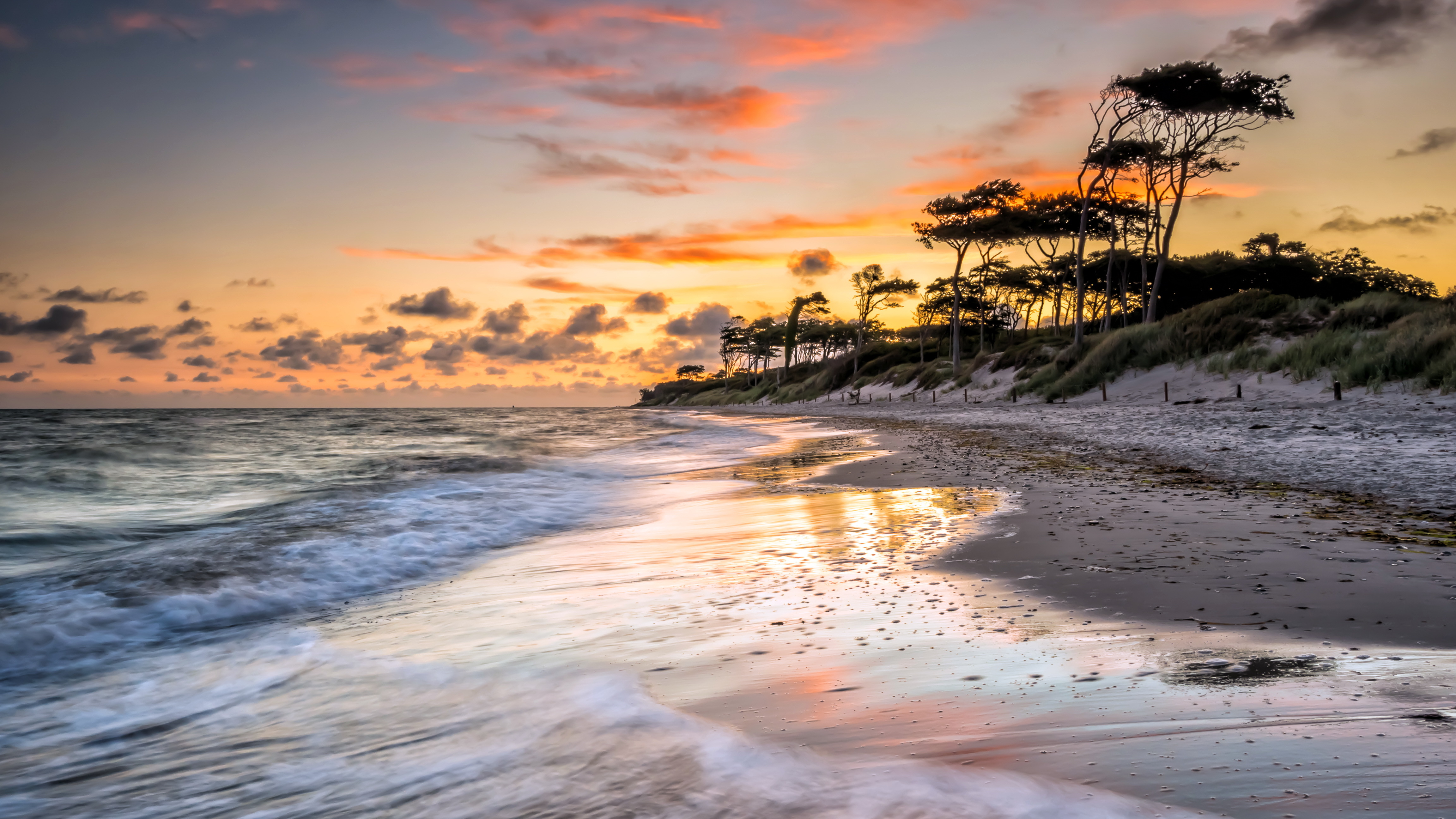 Sunset over a serene beach with gentle waves and windswept trees, 4K wallpaper