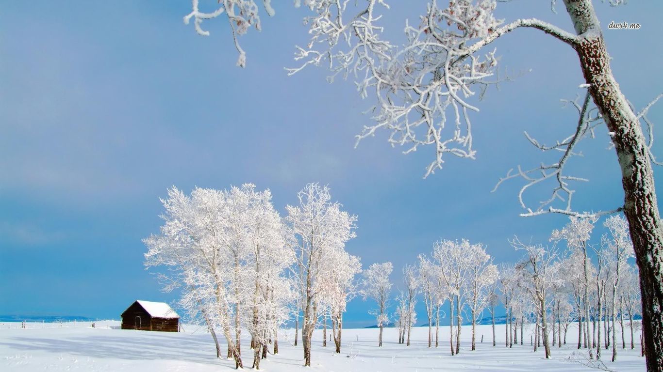 Lone cabin in the snow wallpaper   Nature wallpapers   46215
