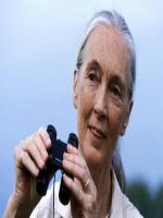 Jane Goodall Profile Biodata Updates And Pictures