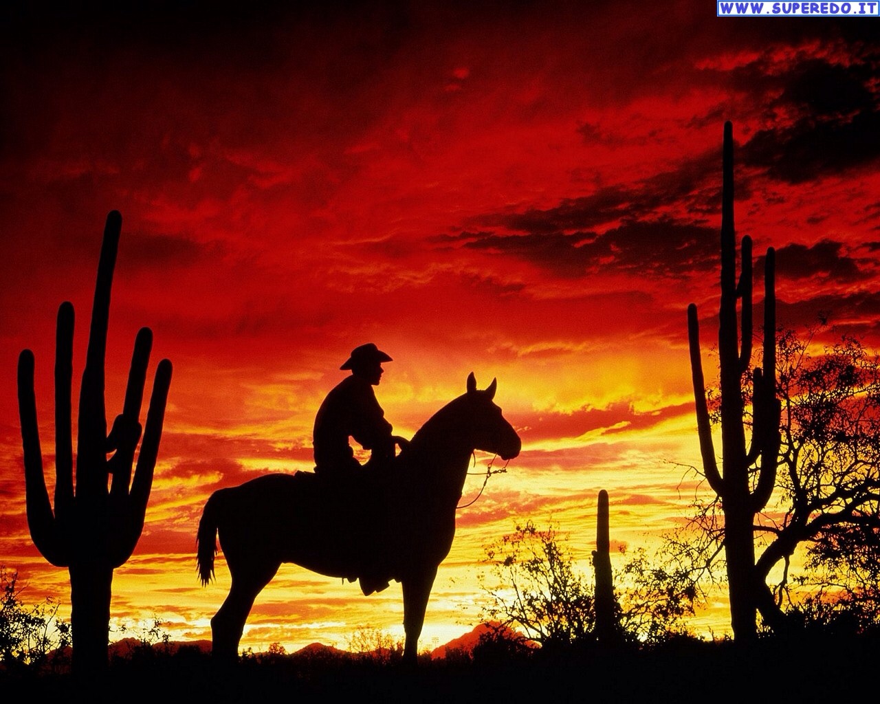 Storie Di Indiani E Cowboy Wallpaper
