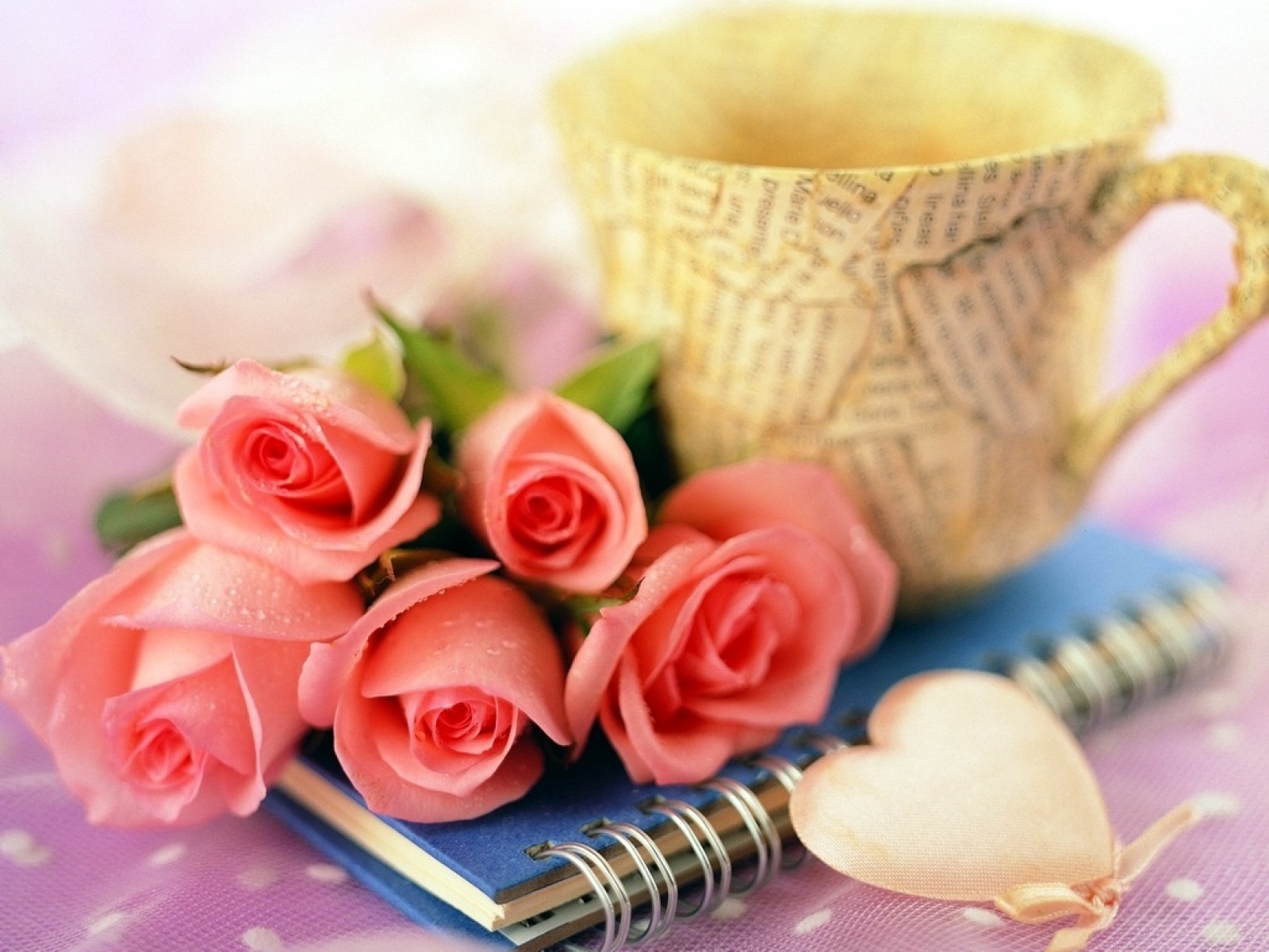 Cute Rose Picture Wallpaper