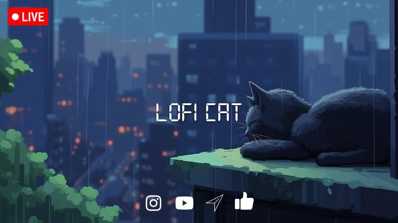 Lofi Cat Anime Ambient Music Chill Beats To Relax Study