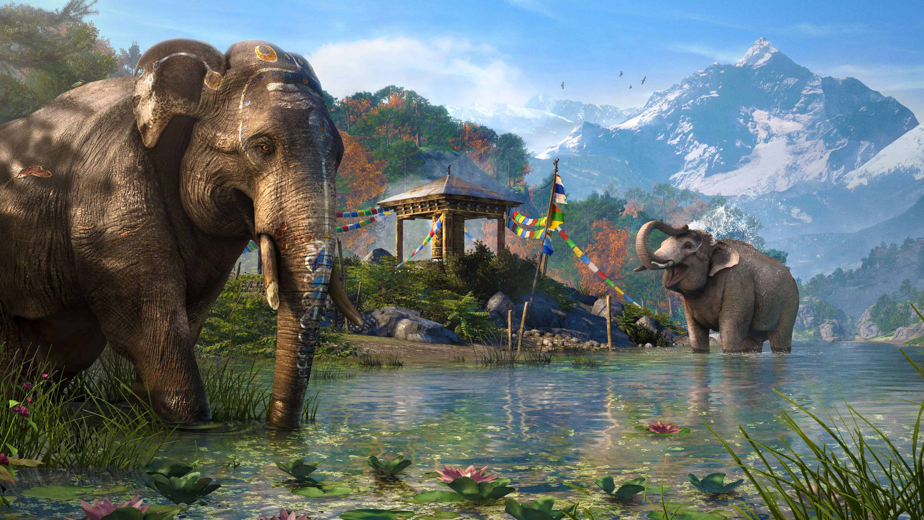 4k Elephant Wallpaper High Resolution