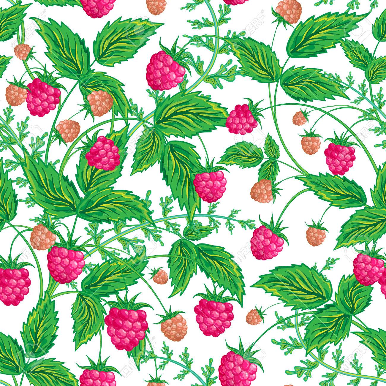 Seamless Raspberry Pattern Cute Hand Drawing Background