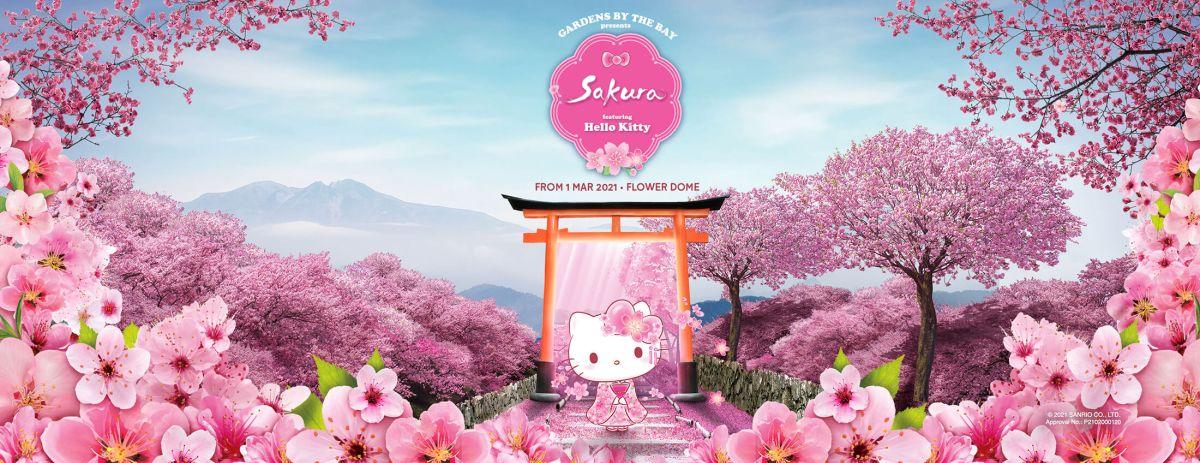 Hello Kitty X Sakura Floral Display Donstravels