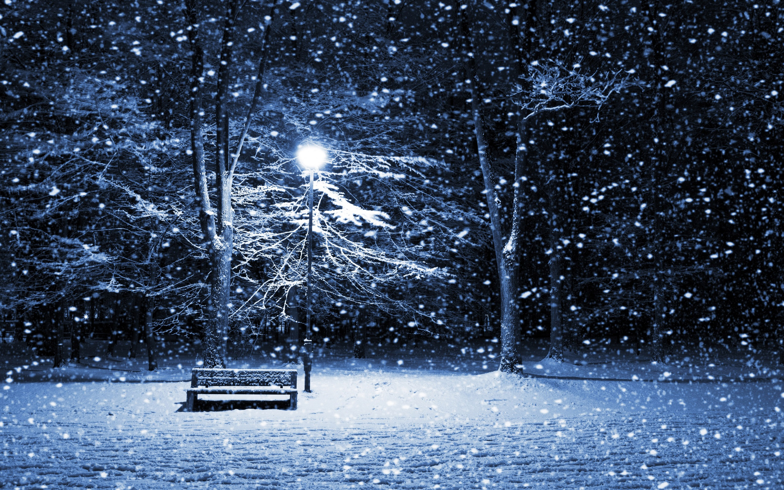 The post 25 Beautiful Winter Wallpapers appeared first on Design 2560x1600