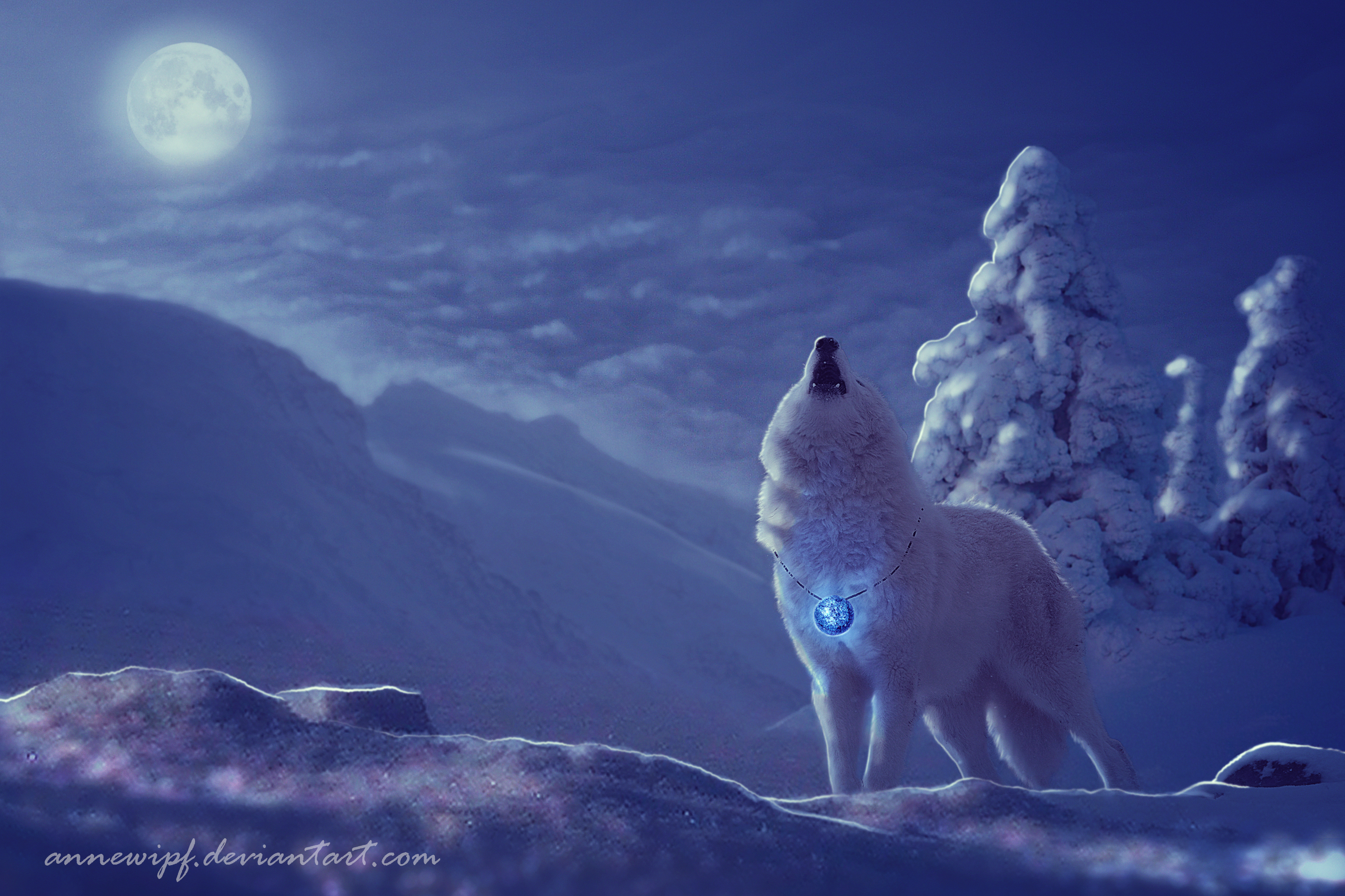 Wolf On Full Moon Winter Night HD Wallpaper Background Image