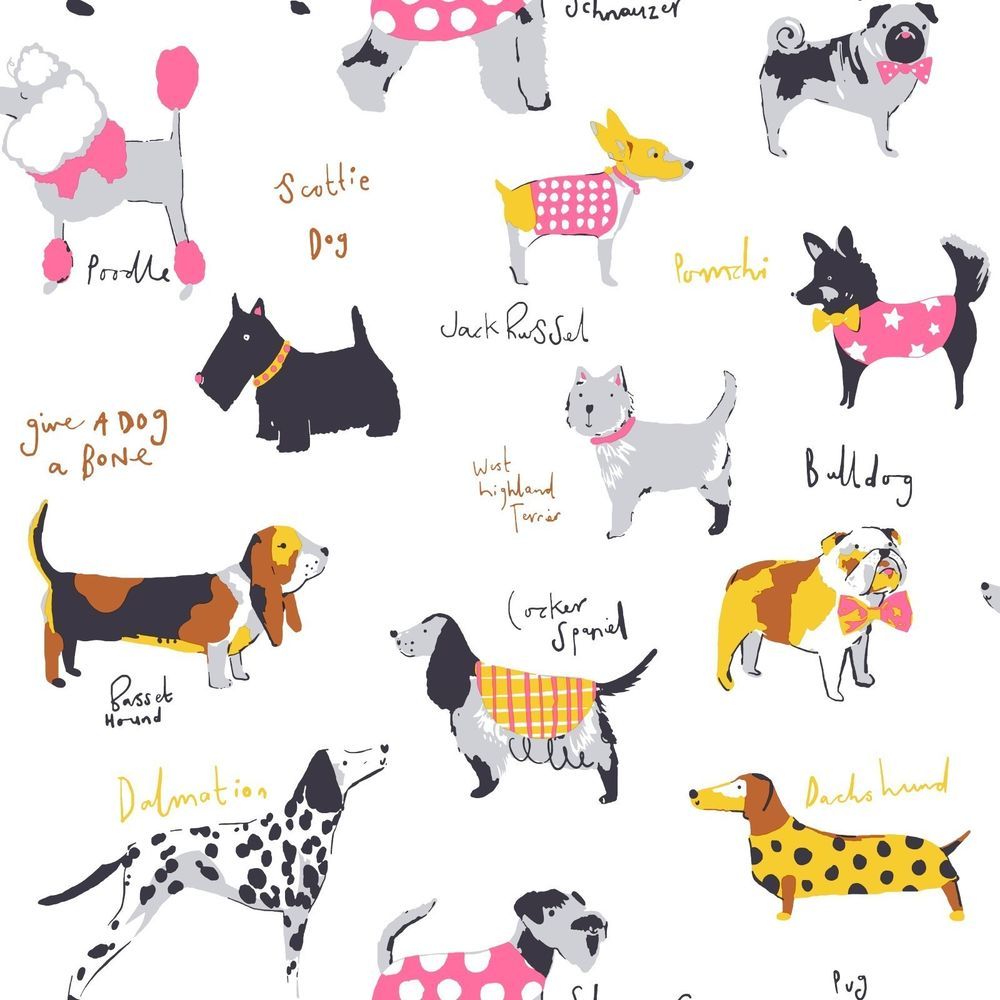 Its a Dogs Life Dog Wallpaper in Multicolour by Coloroll M1037