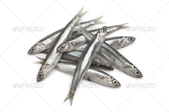 Fresh Raw European Anchovy Wallpaper