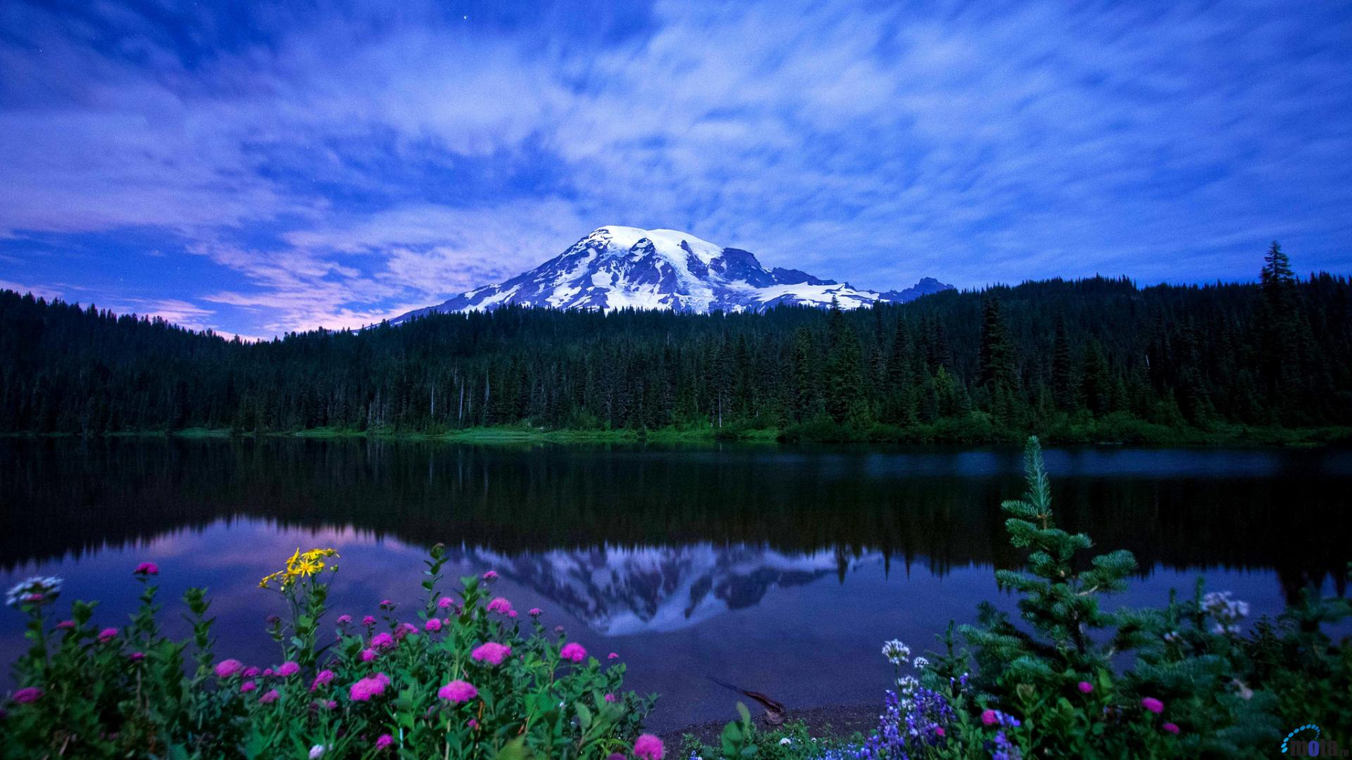Pics Photos Mount Rainier Wallpaper