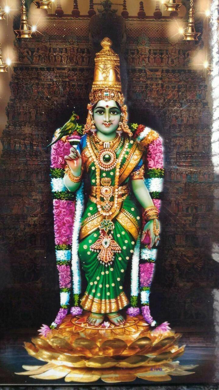 Varsha Singh on 7 Devi Meenakshi Amman Mandir Madurai