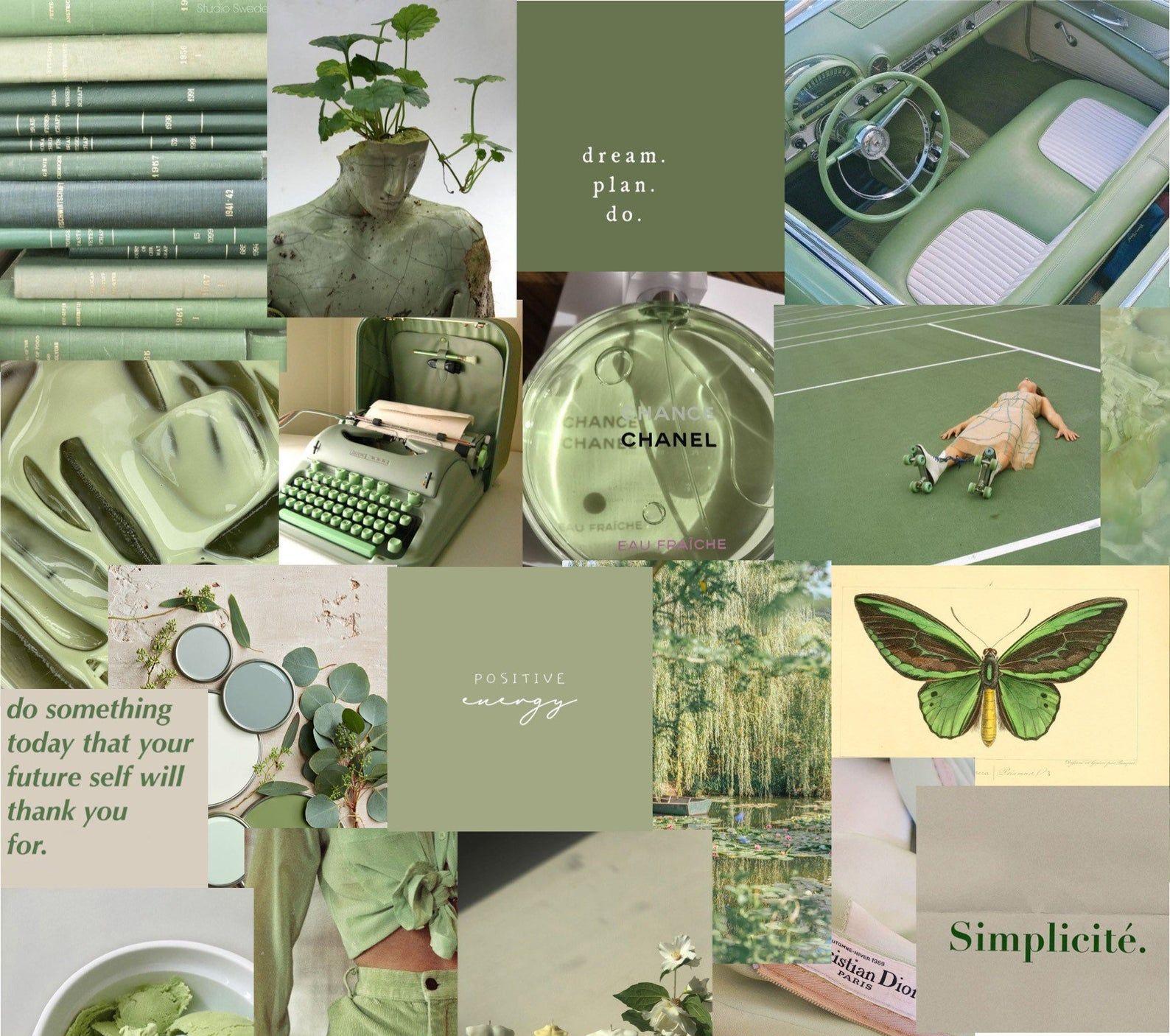 Sage Green Photo Wall Kit Olive Aesthetic