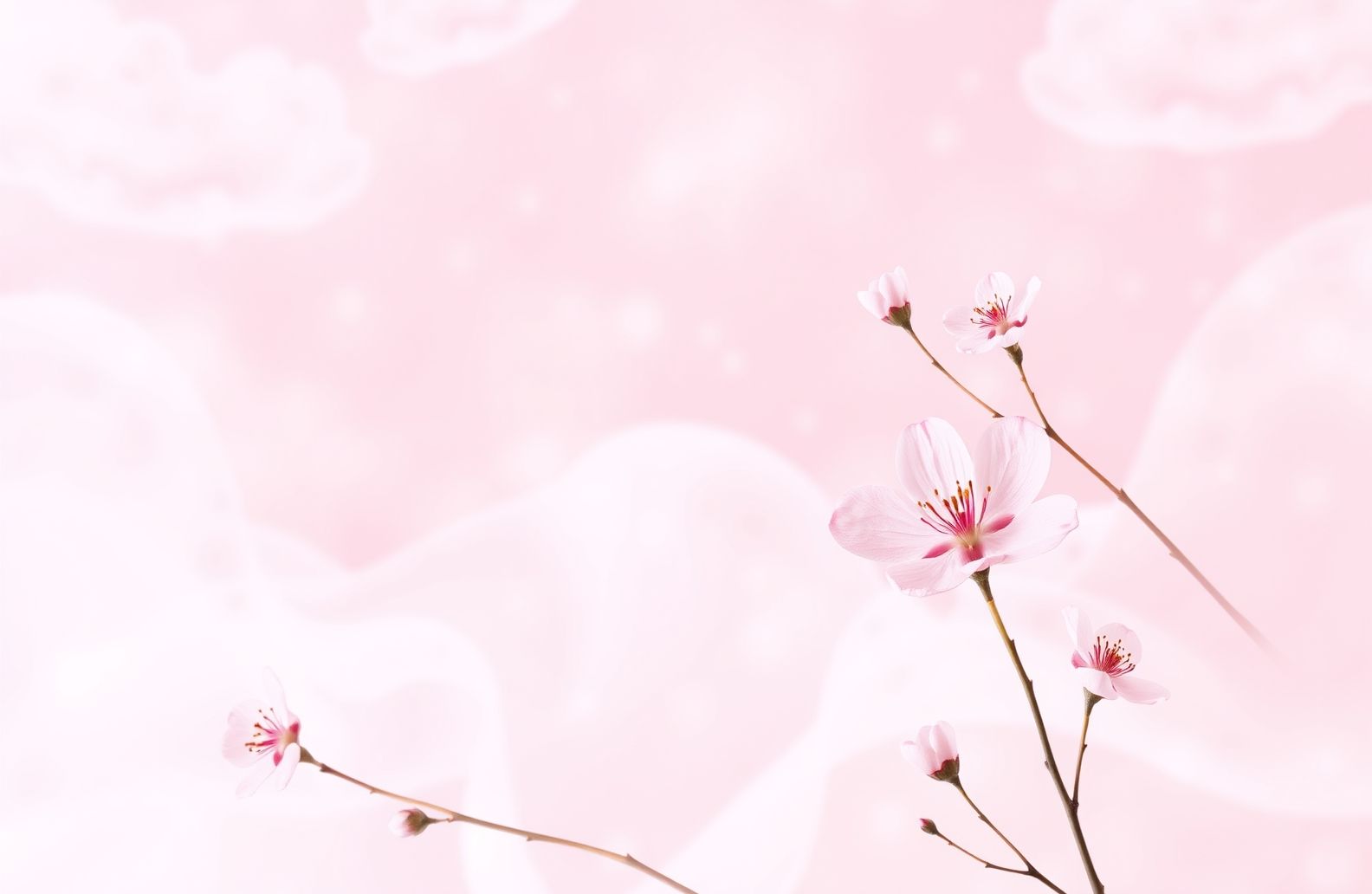 Pink Aesthetic Wallpaper